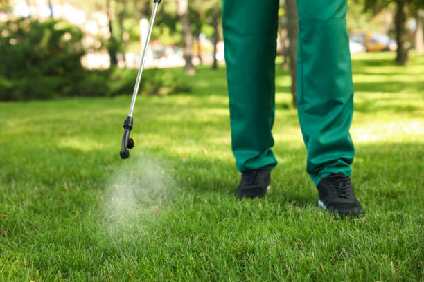 Best Affordable Pest Control Services  in Torrington, CT