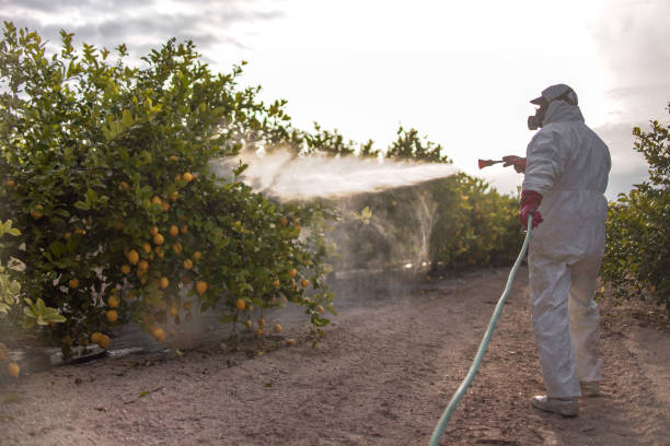 Best Best Pest Control Companies  in Torrington, CT