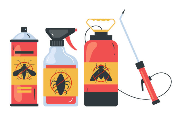 Best Termite Control Services  in Torrington, CT