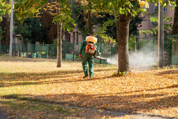 Spider Control Near Me in Torrington, CT