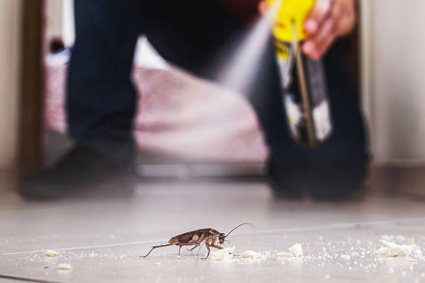 Best Cockroach Control Services  in Torrington, CT