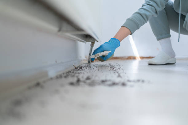 Best Emergency Pest Control  in Torrington, CT